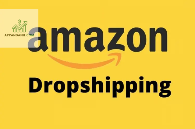 Những Rủi Ro Khi Dropshipping Trên Amazon